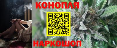прущие грибы Будённовск