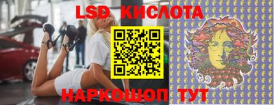 прущие грибы Будённовск