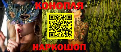 прущие грибы Будённовск
