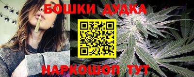 прущие грибы Будённовск