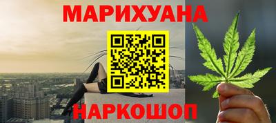прущие грибы Будённовск