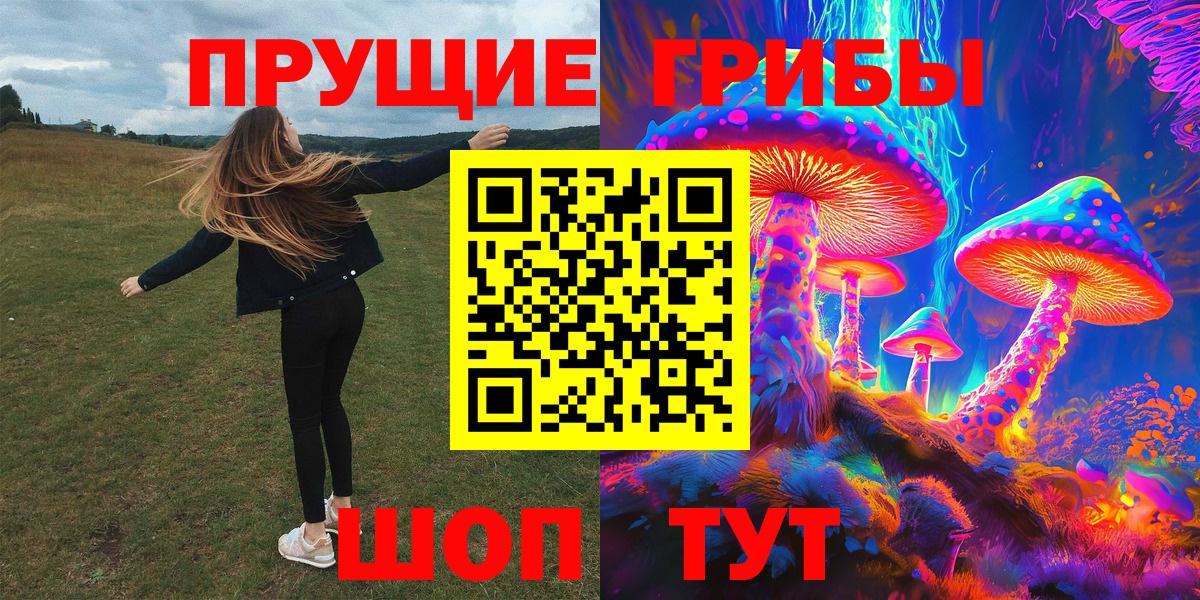Псилоцибиновые грибы GOLDEN TEACHER Кохма